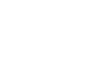 IGEL logo